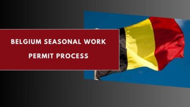 Belgium Seasonal Work Permit Process