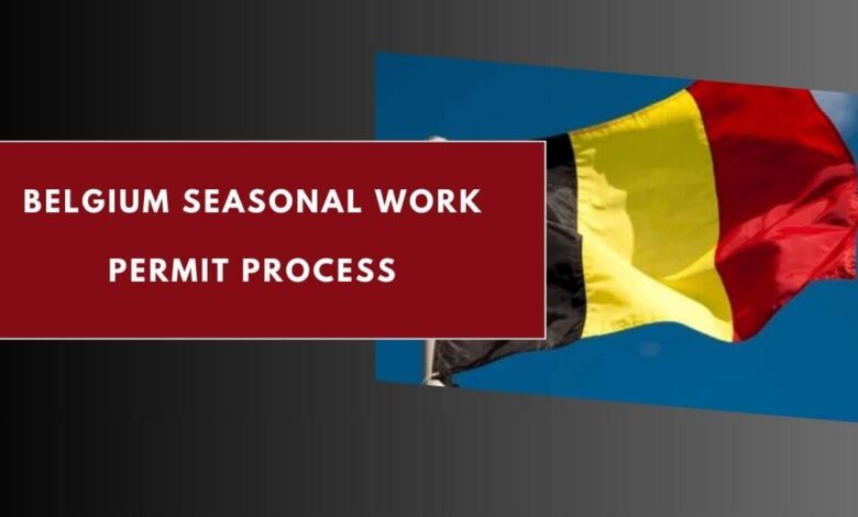 Belgium Seasonal Work Permit Process