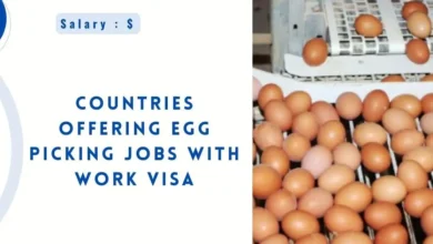 Countries Offering Egg Picking Jobs