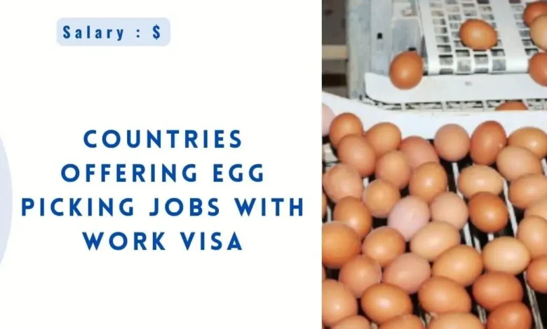 Countries Offering Egg Picking Jobs