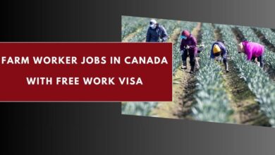 Farm Worker Jobs in Canada With Free Work VISA