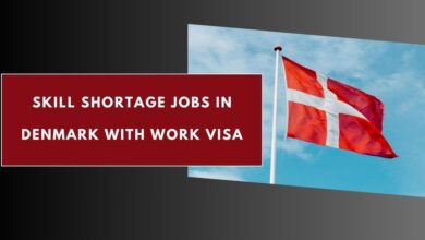 Skill Shortage Jobs in Denmark With Work Visa