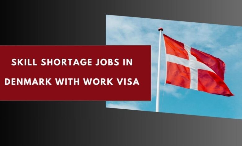 Skill Shortage Jobs in Denmark With Work Visa