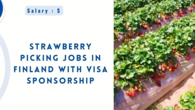 Strawberry Picking Jobs in Finland