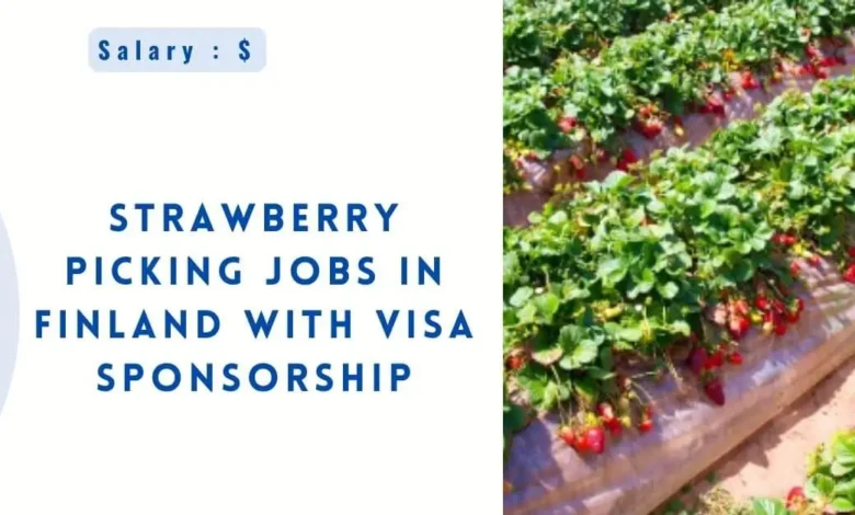 Strawberry Picking Jobs in Finland