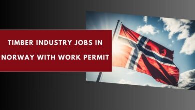 Timber Industry Jobs in Norway with Work Permit