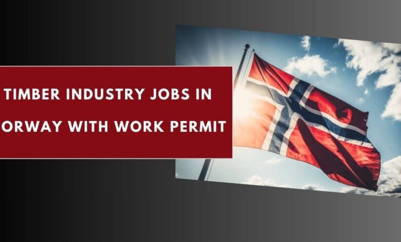 Timber Industry Jobs in Norway with Work Permit