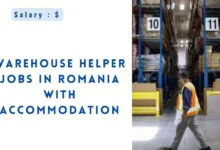 Warehouse Helper Jobs in Romania