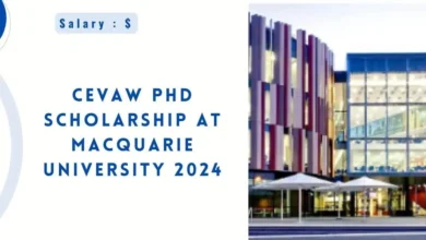 CEVAW PhD Scholarship