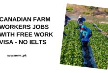 Canadian Farm Workers Jobs With Free Work VISA - No IELTS