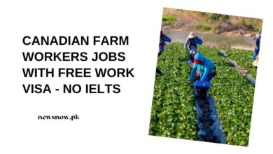 Canadian Farm Workers Jobs With Free Work VISA - No IELTS