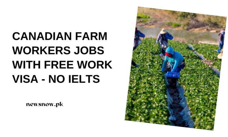 Canadian Farm Workers Jobs With Free Work VISA - No IELTS