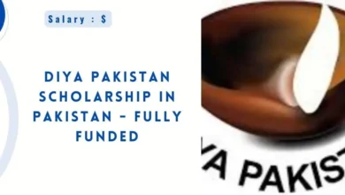 Diya Pakistan Scholarship in Pakistan