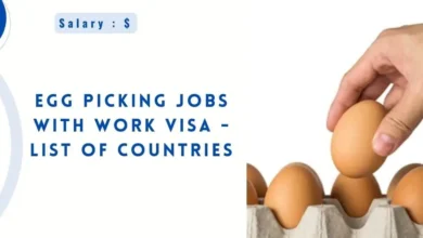 Egg Picking Jobs With Work VISA