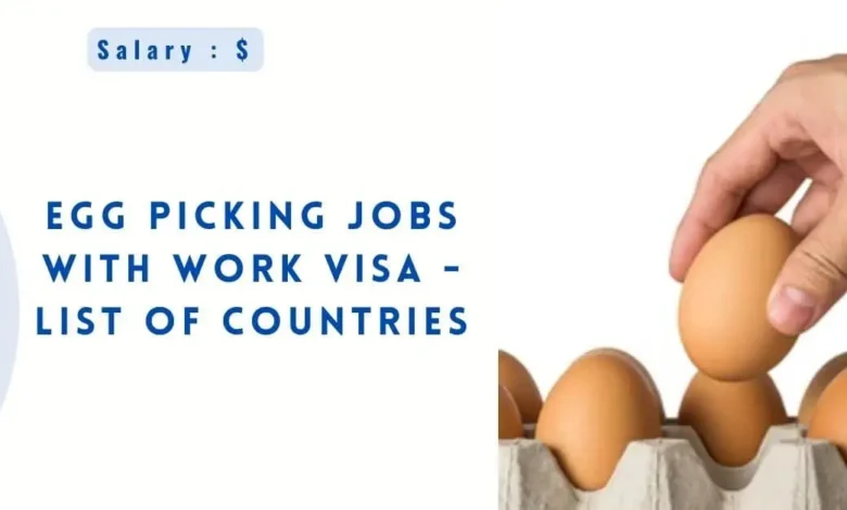 Egg Picking Jobs With Work VISA