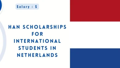 HAN Scholarships for International