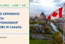 No Experience Visa Sponsorship Jobs in Canada