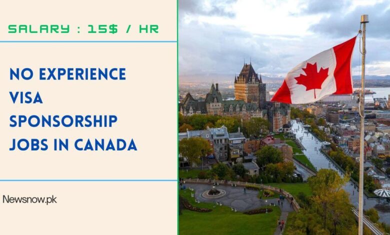 No Experience Visa Sponsorship Jobs in Canada