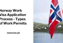 Norway Work Visa Application Process - Types of Work Permits