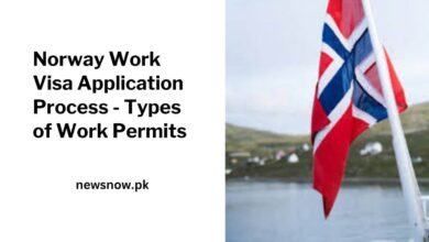 Norway Work Visa Application Process - Types of Work Permits