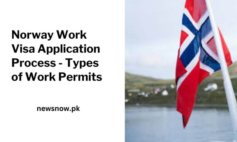 Norway Work Visa Application Process - Types of Work Permits