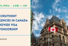 Recruitment Agencies in Canada Provide Visa Sponsorship