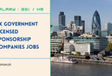UK Government Licensed Sponsorship Companies Jobs