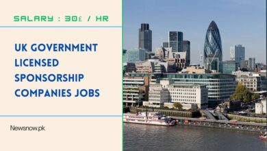 UK Government Licensed Sponsorship Companies Jobs