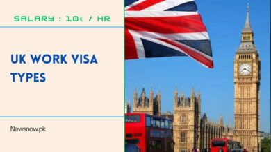 UK Work Visa Types