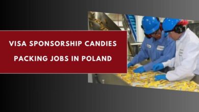 Visa Sponsorship Candies Packing Jobs in Poland