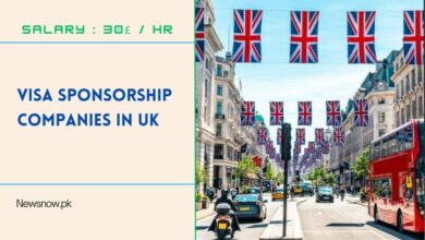 Visa Sponsorship Companies in UK