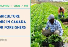 Agriculture Jobs in Canada for Foreigners