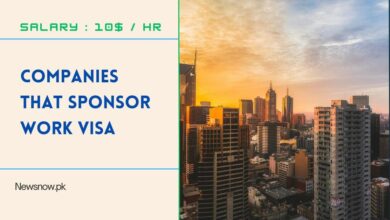 Companies That Sponsor Work Visa