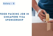 Food Packing Job in Singapore