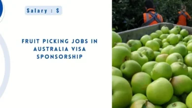 Fruit Picking Jobs in Australia