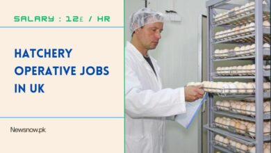 Hatchery Operative Jobs in UK