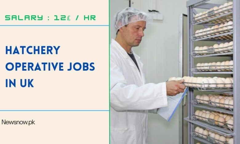 Hatchery Operative Jobs in UK