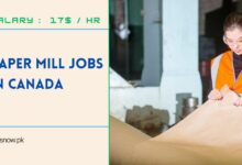 Paper Mill Jobs in Canada