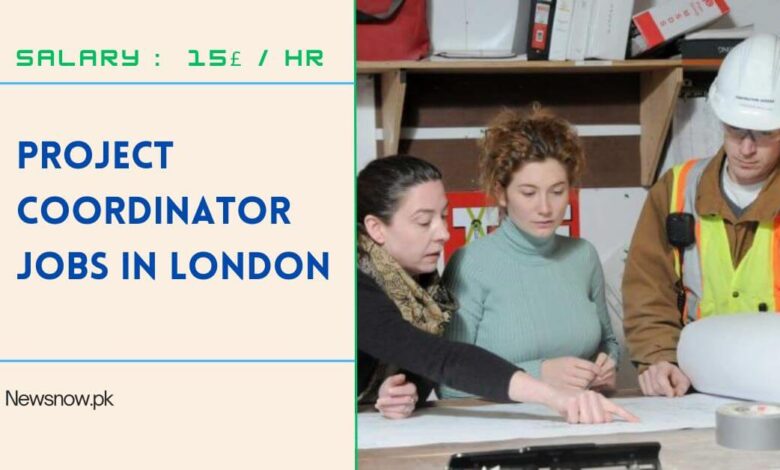 Project Coordinator Jobs in London