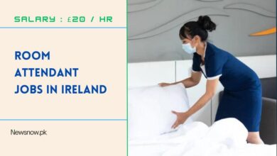 Room Attendant Jobs in Ireland