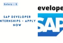 SAP Developer Internships