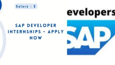 SAP Developer Internships