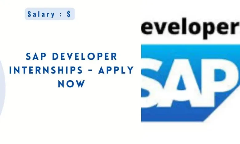 SAP Developer Internships