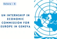 UN Internship in Economic Commission