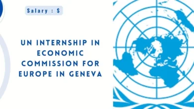 UN Internship in Economic Commission