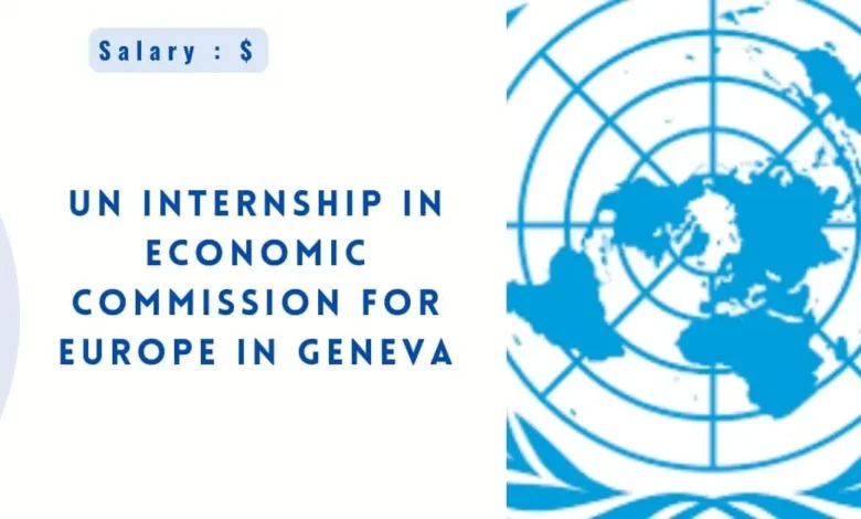 UN Internship in Economic Commission