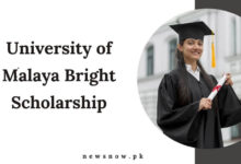 University of Malaya Bright Scholarship