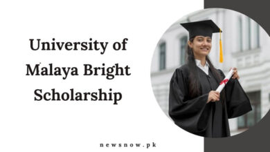 University of Malaya Bright Scholarship