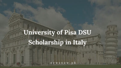 University of Pisa DSU Scholarship in Italy