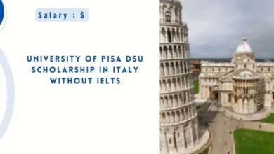 University of Pisa DSU Scholarship